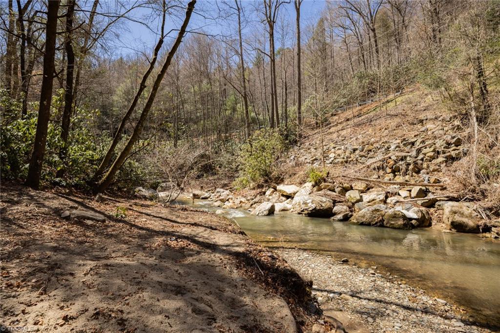 TBD Old Nc Highway 16, Millers Creek, North Carolina image 22