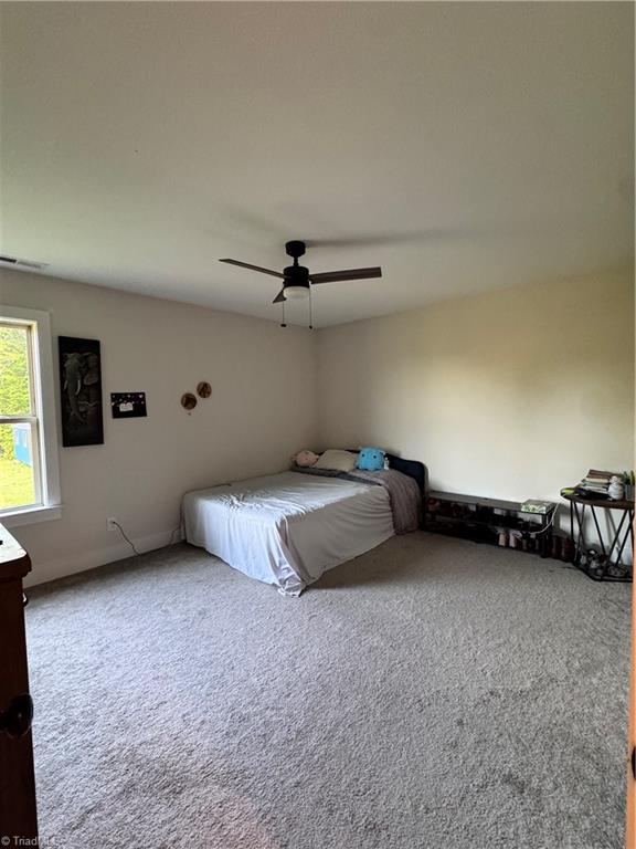 3064 Wesley Farm Lane, Sophia, North Carolina image 40