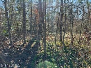 Lot 31 Stevens Drive, Jonesville, North Carolina image 3