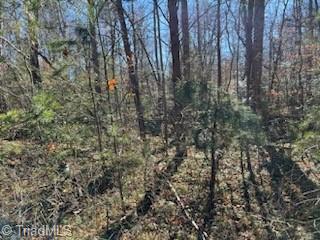 Lot 31 Stevens Drive, Jonesville, North Carolina image 7