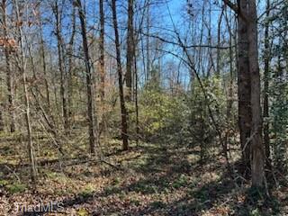 Lot 31 Stevens Drive, Jonesville, North Carolina image 4