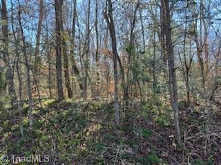 Lot 31 Stevens Drive, Jonesville, North Carolina image 5