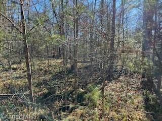 Lot 31 Stevens Drive, Jonesville, North Carolina image 6