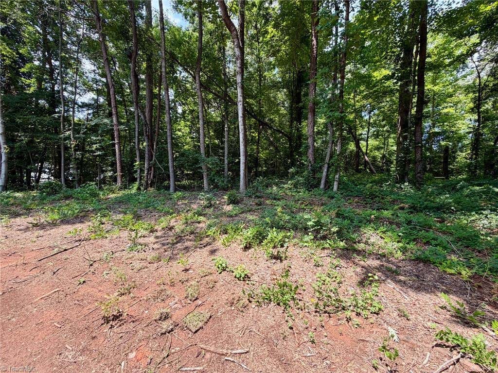 Photo of 723 Branson Mill Road, Randleman, NC 27317 (MLS # 1229375)