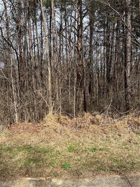 Vacant Land For Sale - LOT 93 Haynoke Drive<br/> Graham, NC 27253