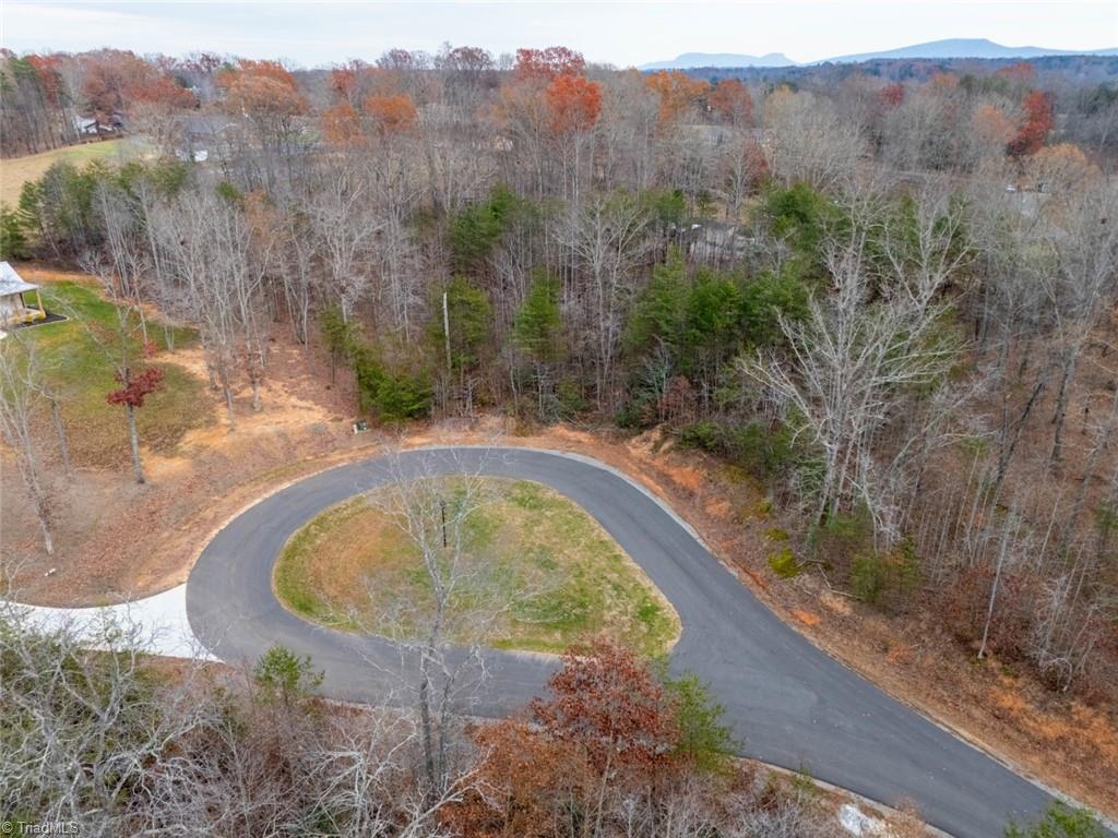 TBD Eddington Lane, Pilot Mountain, North Carolina image 7