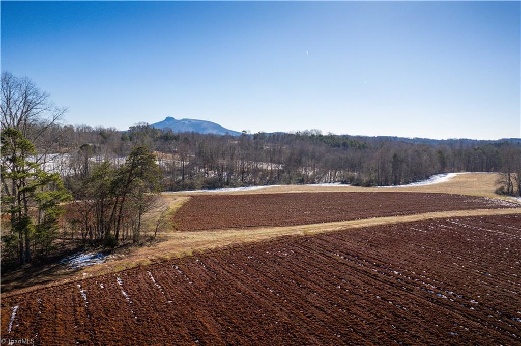 40 Acres Mockingbird Lane, Pilot Mountain, North Carolina image 40