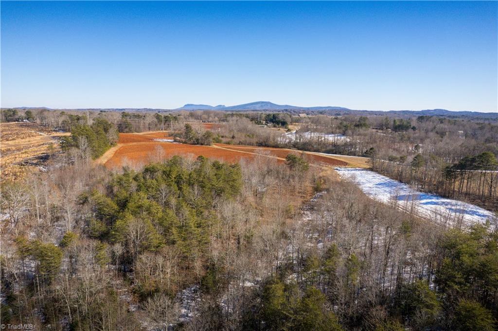 40 Acres Mockingbird Lane, Pilot Mountain, North Carolina image 43