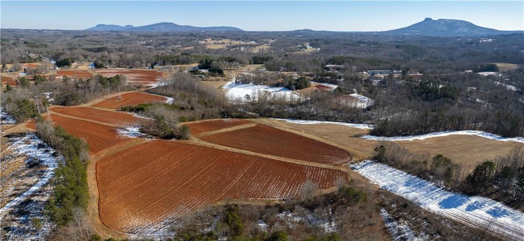 40 Acres Mockingbird Lane, Pilot Mountain, North Carolina image 1