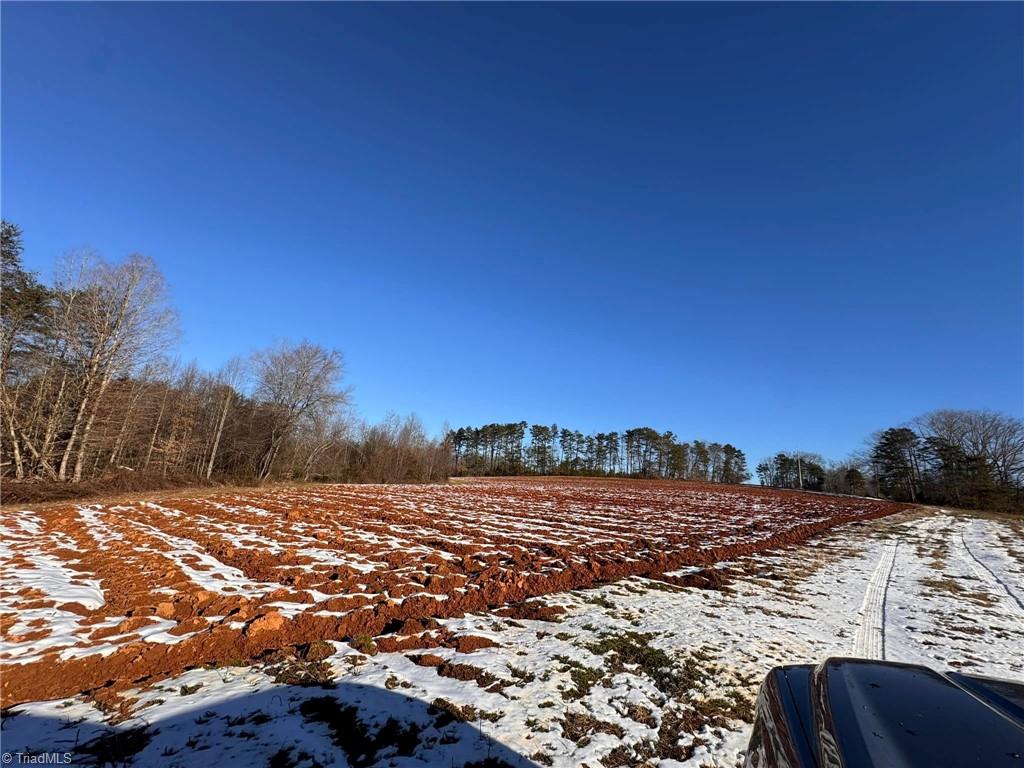 40 Acres Mockingbird Lane, Pilot Mountain, North Carolina image 7