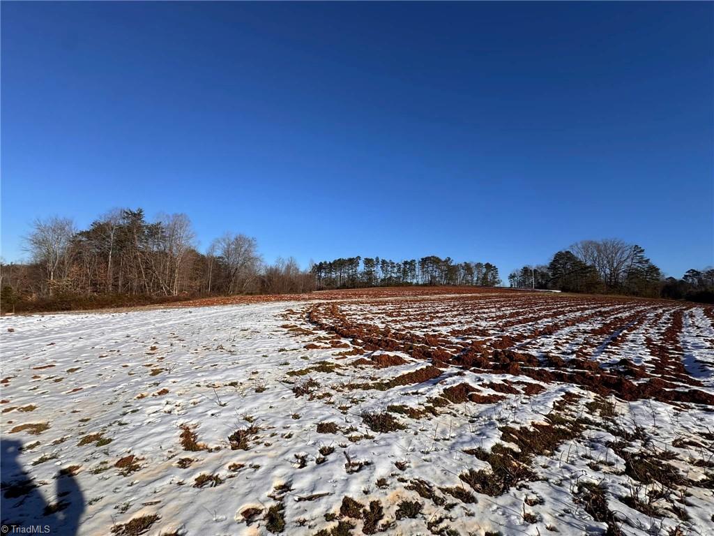 40 Acres Mockingbird Lane, Pilot Mountain, North Carolina image 24