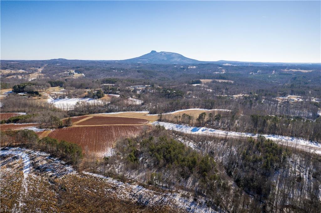 40 Acres Mockingbird Lane, Pilot Mountain, North Carolina image 31