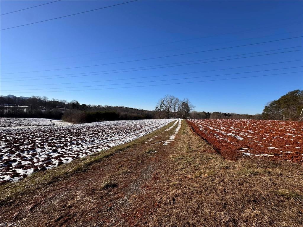 40 Acres Mockingbird Lane, Pilot Mountain, North Carolina image 15