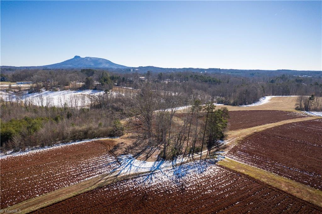 40 Acres Mockingbird Lane, Pilot Mountain, North Carolina image 2