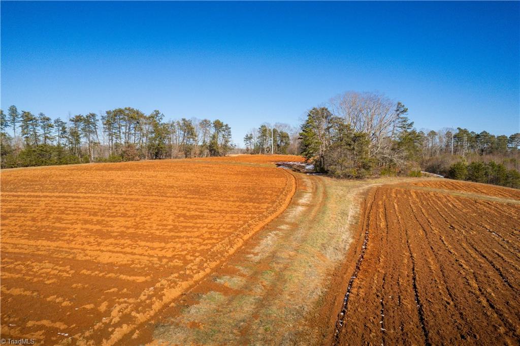 40 Acres Mockingbird Lane, Pilot Mountain, North Carolina image 45