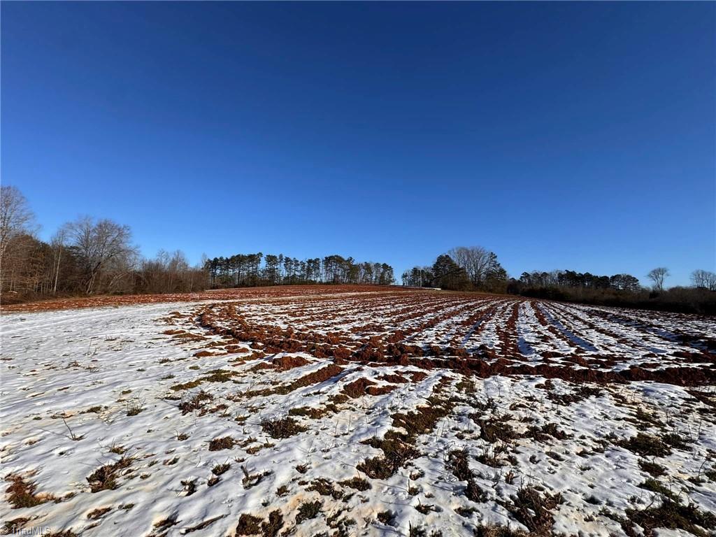 40 Acres Mockingbird Lane, Pilot Mountain, North Carolina image 17