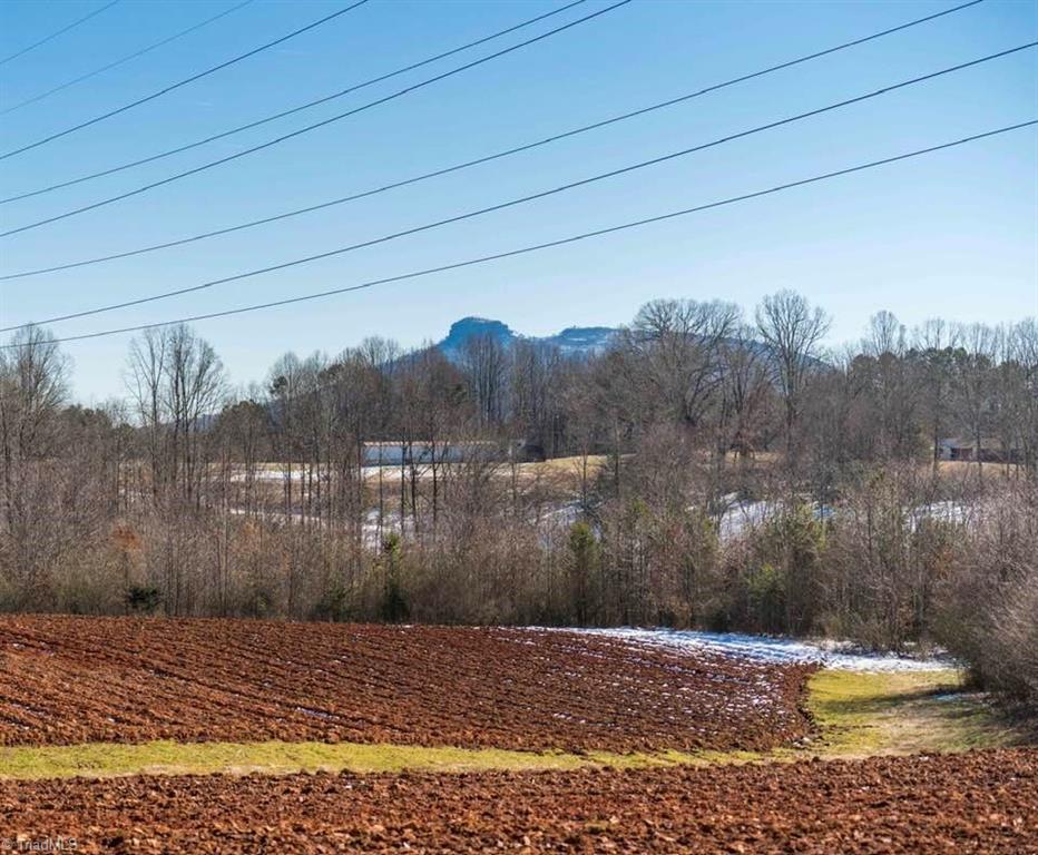 40 Acres Mockingbird Lane, Pilot Mountain, North Carolina image 5