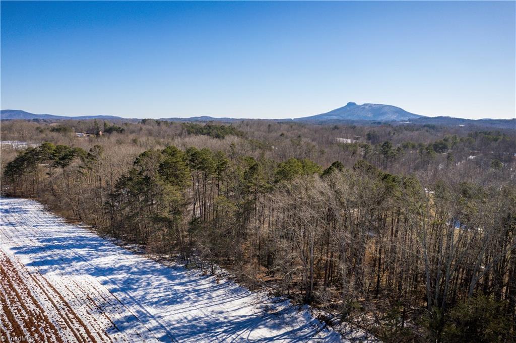 40 Acres Mockingbird Lane, Pilot Mountain, North Carolina image 38