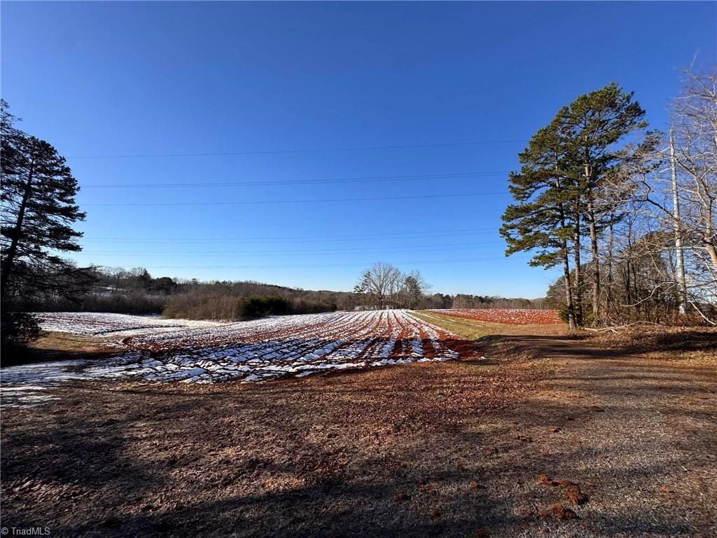 40 Acres Mockingbird Lane, Pilot Mountain, North Carolina image 13