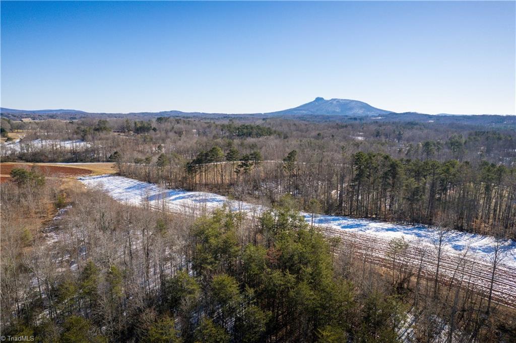 40 Acres Mockingbird Lane, Pilot Mountain, North Carolina image 44