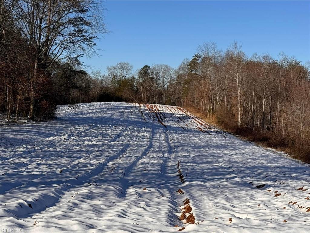 40 Acres Mockingbird Lane, Pilot Mountain, North Carolina image 20