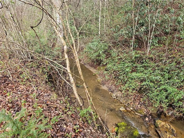 00 Elk Creek Darby Road, photo 4 of 24