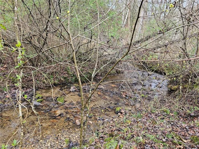 00 Elk Creek Darby Road, photo 3 of 24