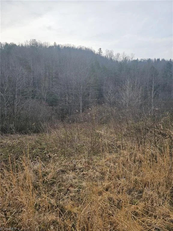 00 Elk Creek Darby Road, photo 5 of 24