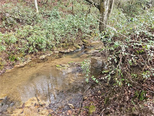 00 Elk Creek Darby Road, photo 2 of 24