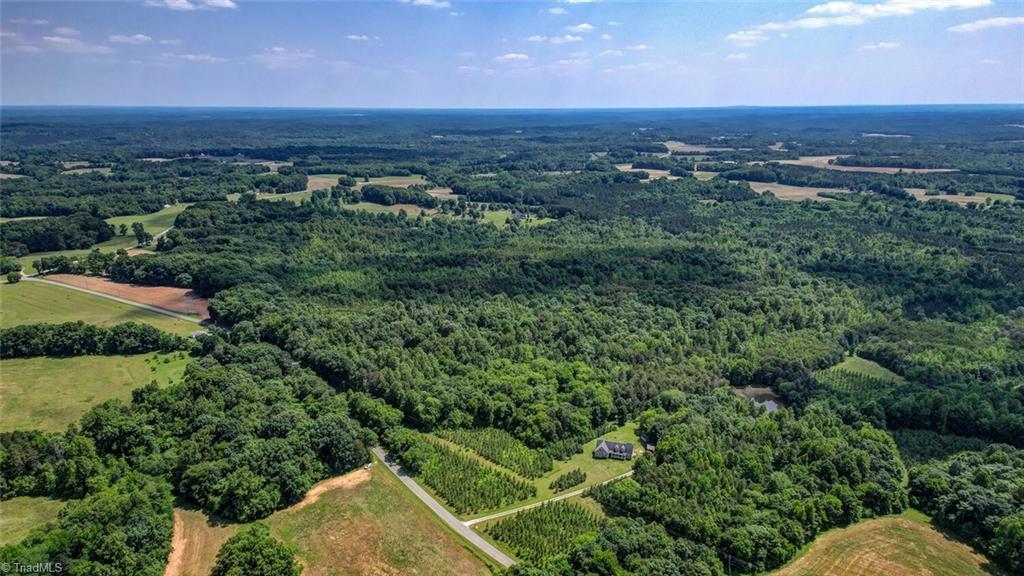 Blanch Road, Blanch, North Carolina image 7