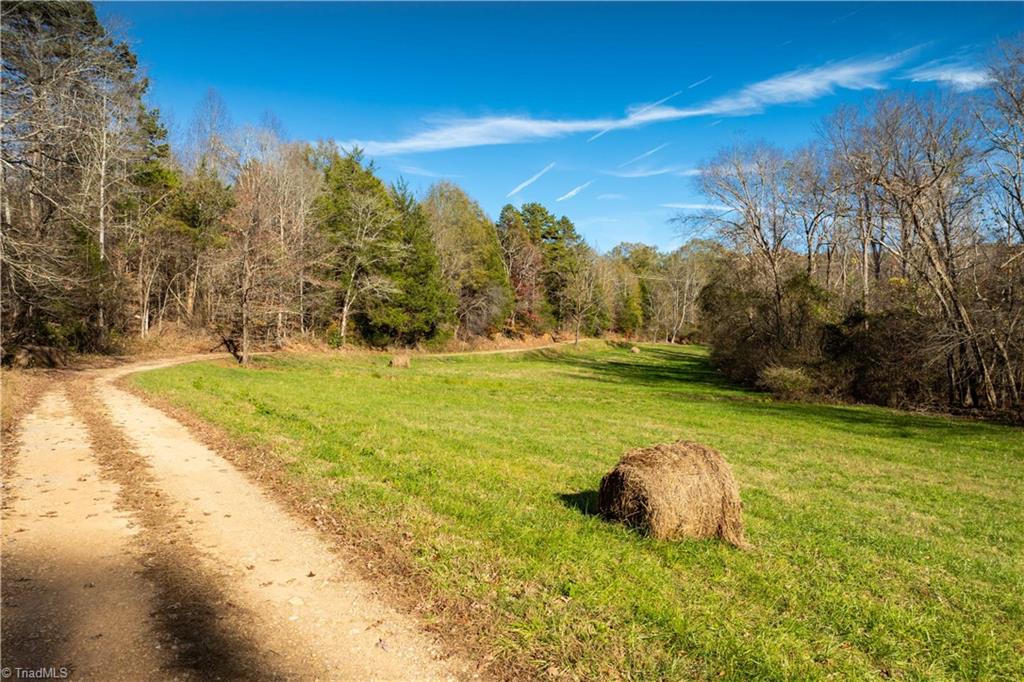 1694 Nc Highway 8 And 89, Walnut Cove, North Carolina image 9