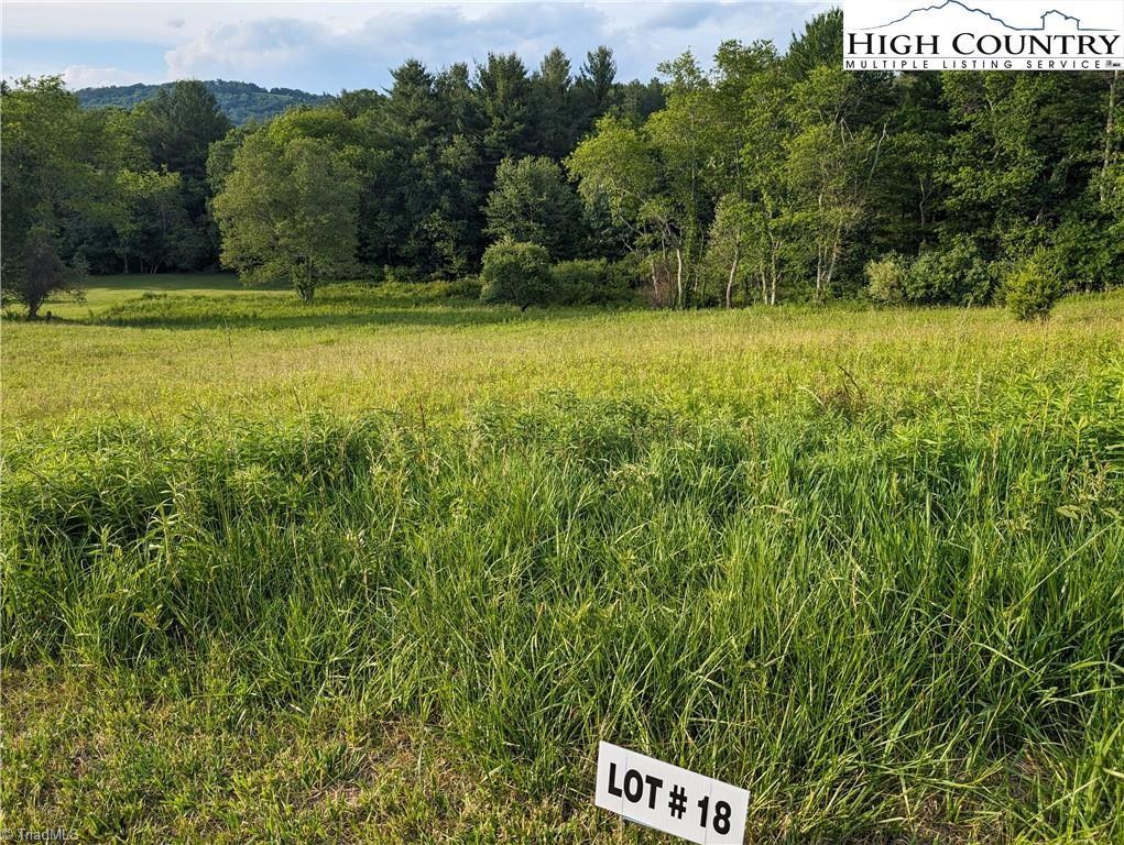 Lot 18 Fraser Road, Sparta, North Carolina image 2