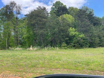 1350 Grant Haven Court, High Point, North Carolina image 6
