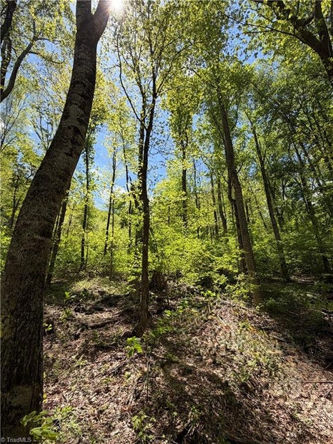 Vacant Land For Sale - LOT#28 Bluff Ridge Road<br/> West Jefferson, NC 28694