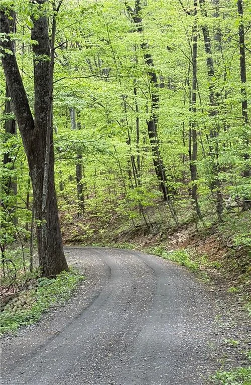 Lot#28 Bluff Ridge Road, West Jefferson, NC, 28694
