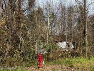 356 Mountain Scenery Road, Roaring River, North Carolina image 4