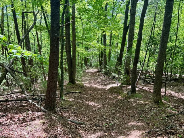 0000 Ashe View Drive, photo 3 of 41