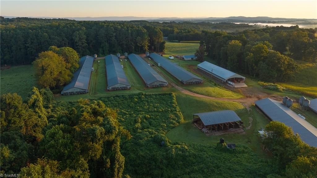 Photo of 167 Buck Hollow Trail, Ararat, NC 27007 (MLS # 1193608)