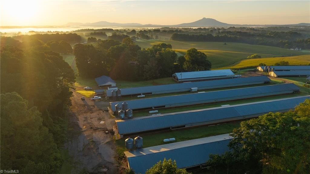 Photo of 167 Buck Hollow Trail, Ararat, NC 27007 (MLS # 1193608)