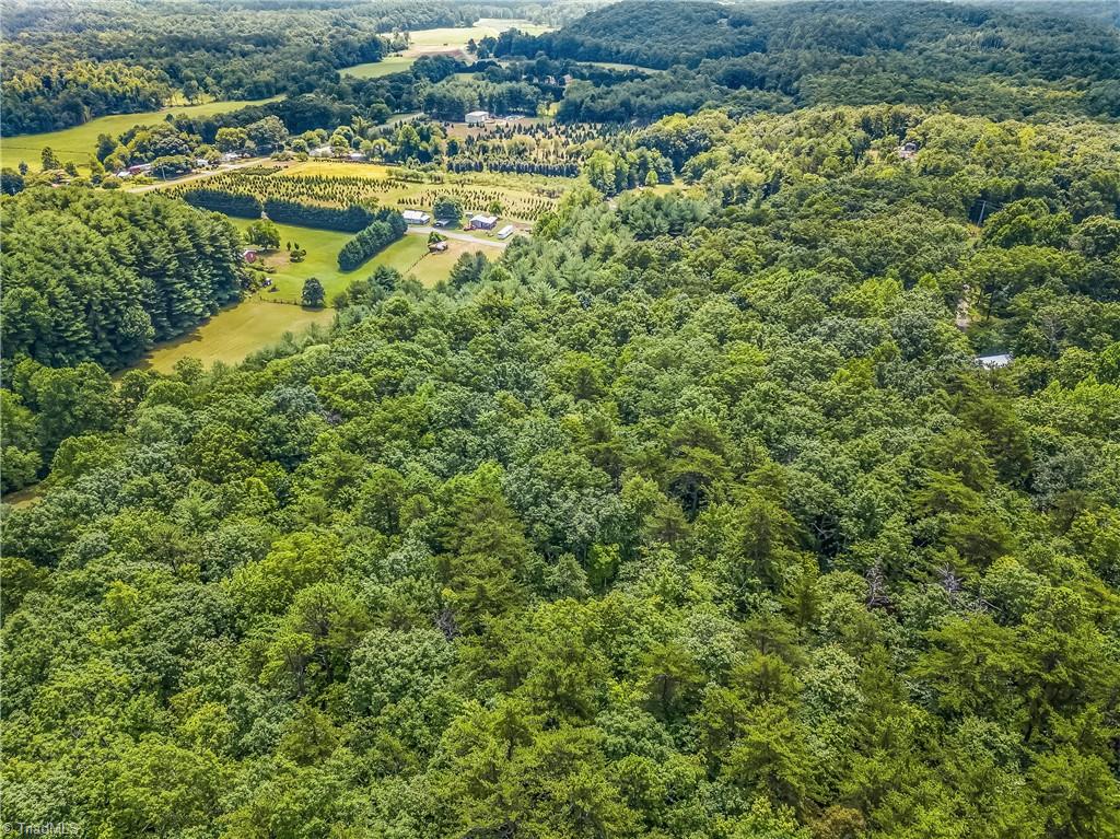 0000 Waite Road, Lowgap, North Carolina image 4