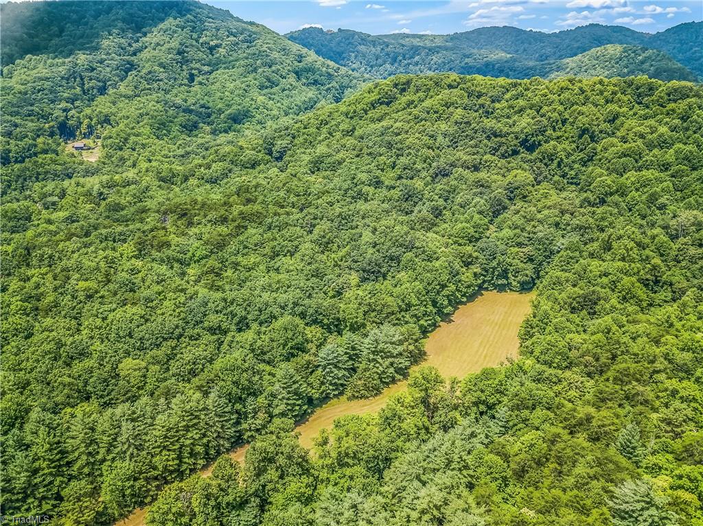 0000 Waite Road, Lowgap, North Carolina image 11