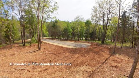 Vacant Land For Sale - 3 Thomas Farm Road<br/> Stokes County, King, NC 27021