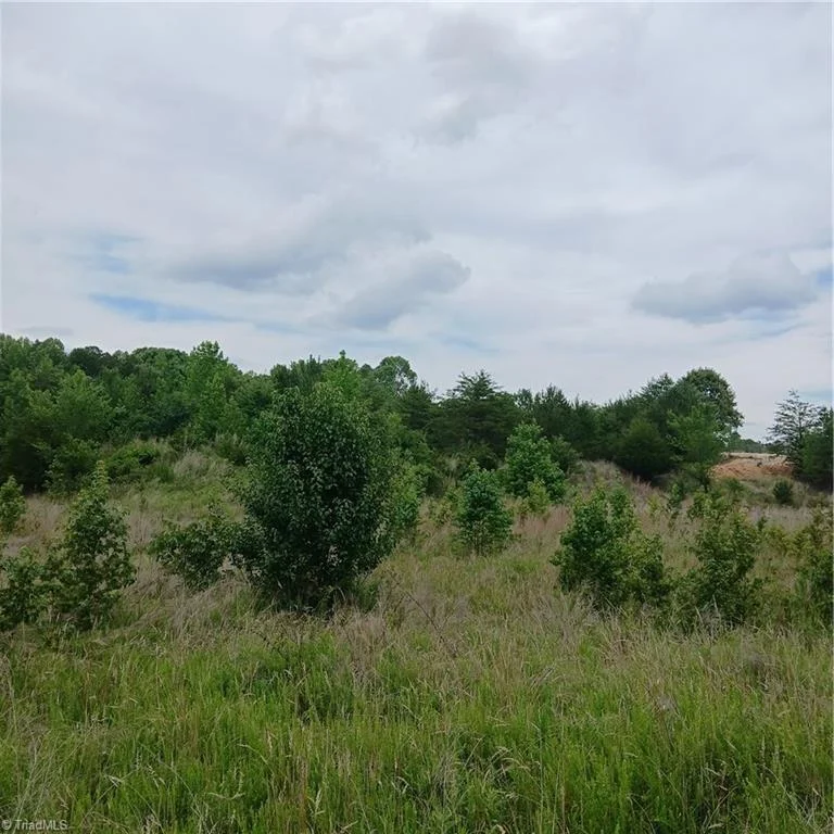 1133 Springfield Road, photo 1 of 5