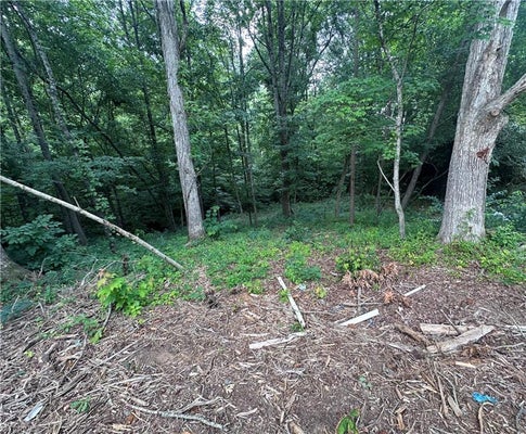 4430 BEN LN, WALKERTOWN, NC 27051 - Image 79c0784f66db5bbcb1f9e49d53b00c76/966294484