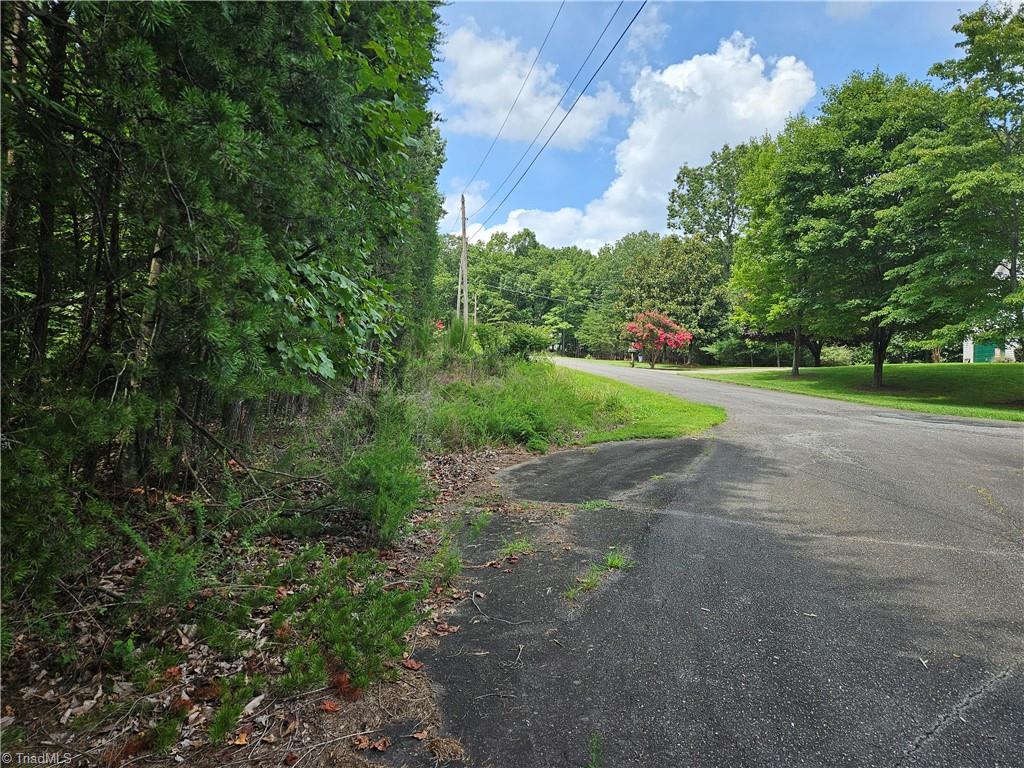 00 Knollcrest Drive #63, Pilot Mountain, North Carolina image 15