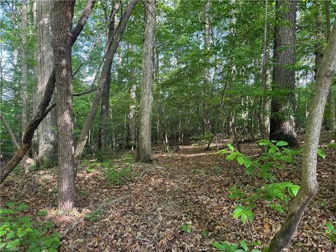 Vacant Land For Sale - TRACT 4 Dover Church Road<br/> Seagrove, NC 27341