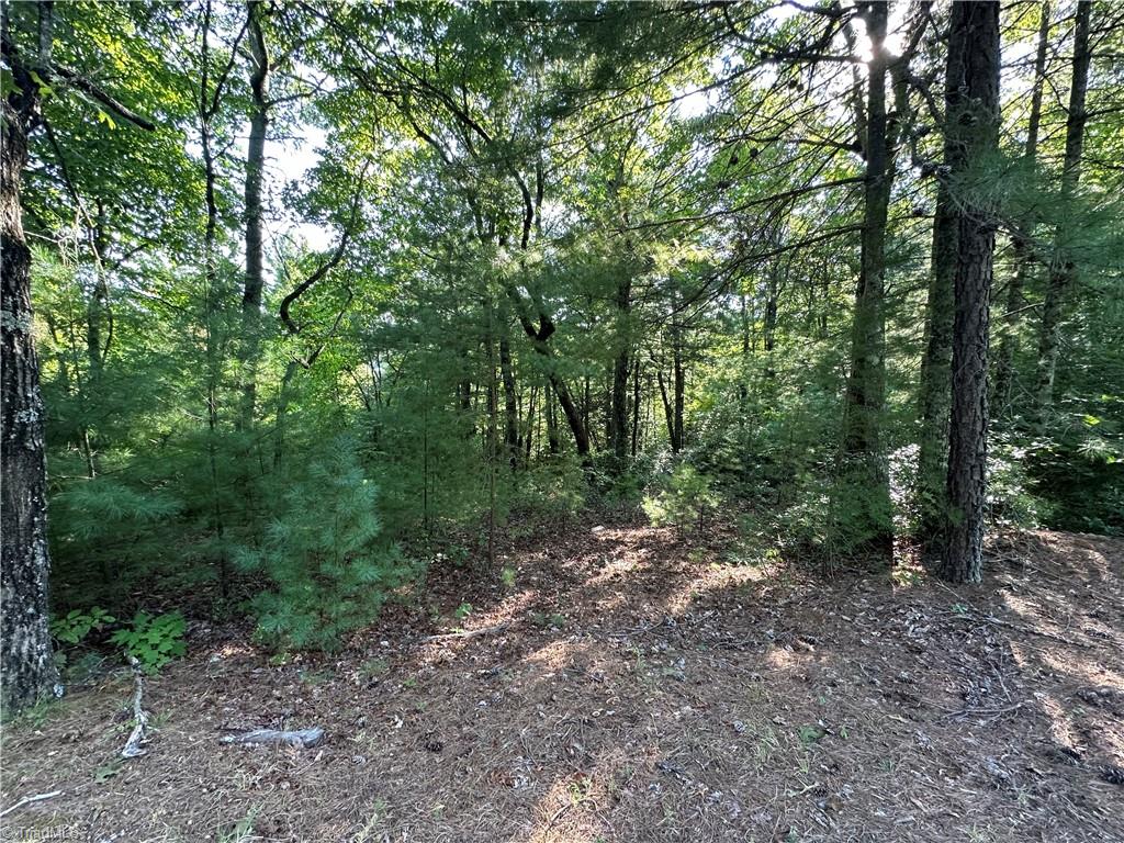 Lot 28E Cascade Run, Purlear, North Carolina image 6