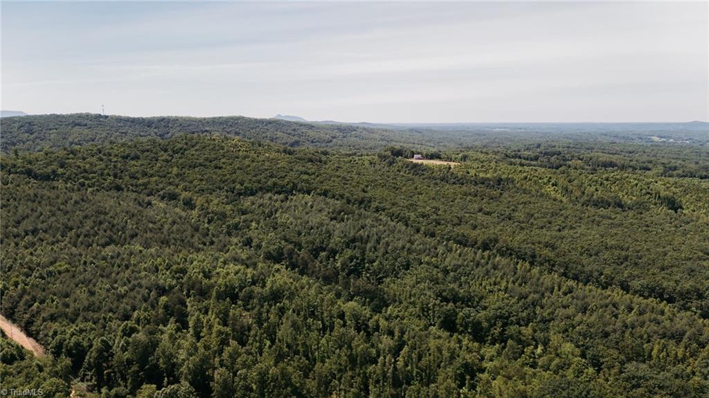 Xx 44.93 Acres Stardust Trail, Mount Airy, North Carolina image 16
