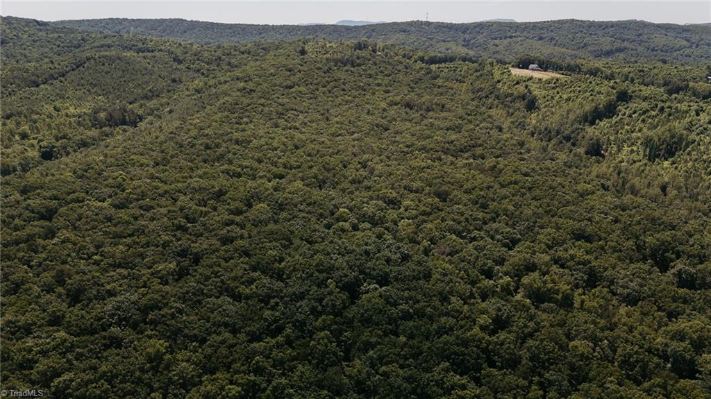 Xx 44.93 Acres Stardust Trail, Mount Airy, North Carolina image 15