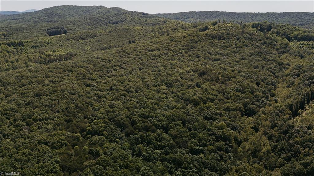Xx 44.93 Acres Stardust Trail, Mount Airy, North Carolina image 14
